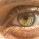 Illustration for article titled Shooting Challenge Eye Gallery 2
